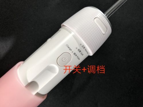 深度測評！潔碧、松下、羅曼、歌嵐四大便攜式沖牙器，哪款更值得買？